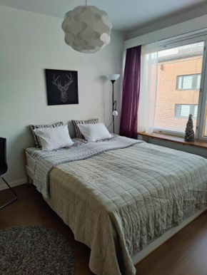 Jaakonkatu City Apartment, Rovaniemi